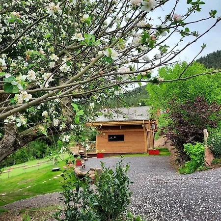 Chalet La Aux Chevaux