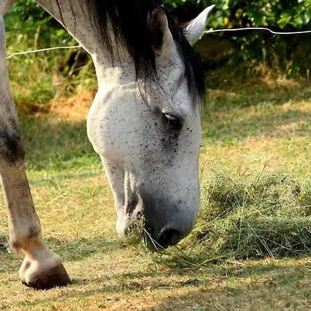 La Aux Chevaux Chalet